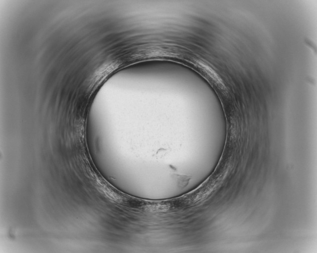 X0000095920793200802011212