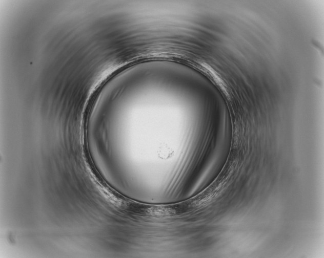 X0000095920795200802011212