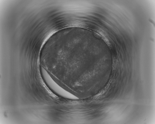 X0000095920796200802011212