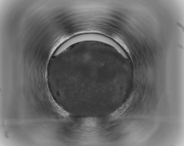 X0000095920797200802011212