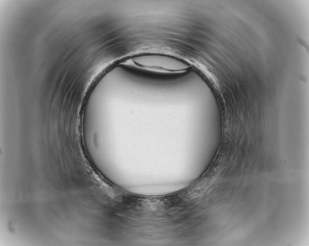 X0000095920799200802011211