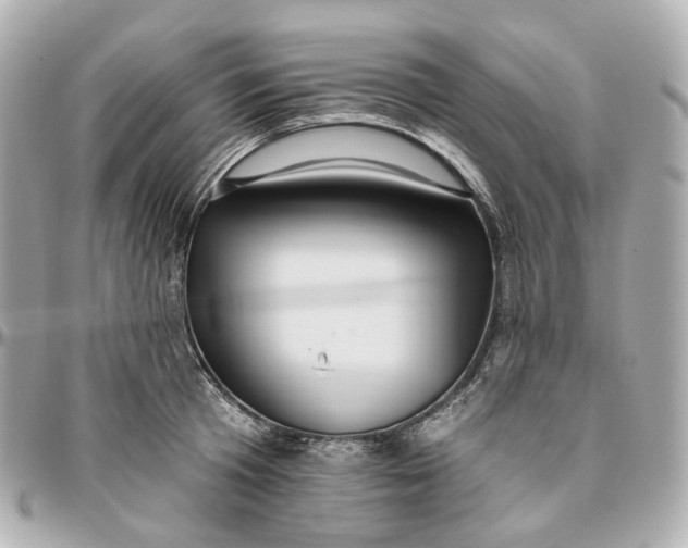 X0000095920801200802011211