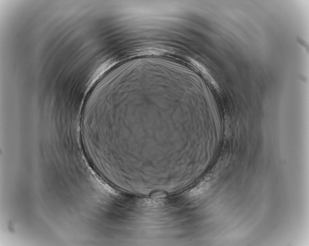 X0000095920802200802011211