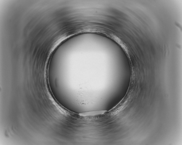 X0000095920803200802011211