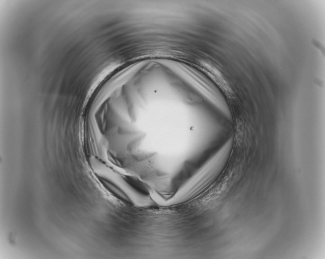 X0000095920804200802011211