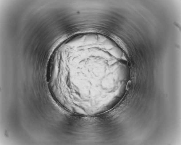 X0000095920805200802011211