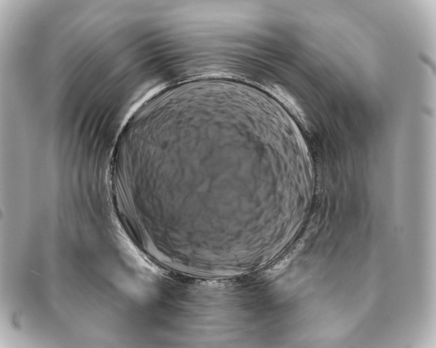 X0000095920806200802011211