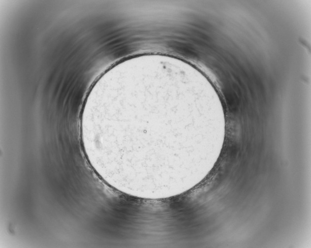 X0000095920807200802011211