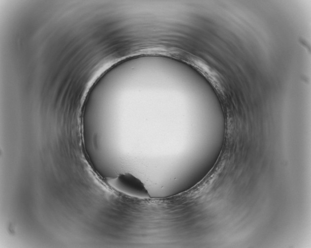 X0000095920808200802011211