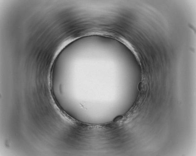 X0000095920811200802011211