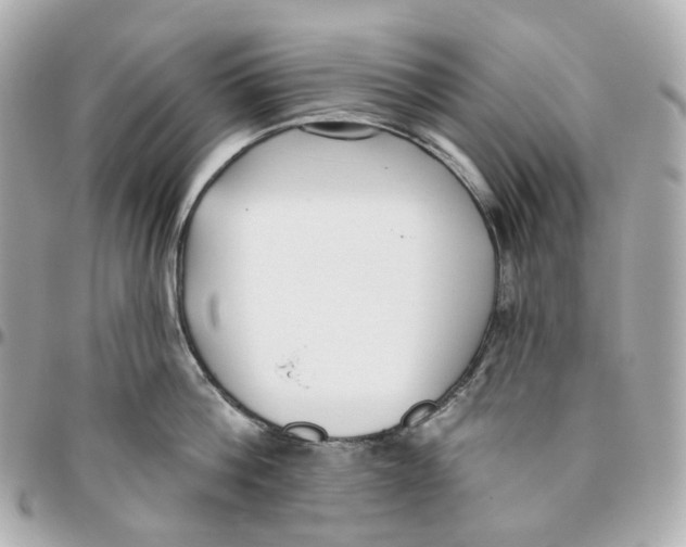 X0000095920812200802011211