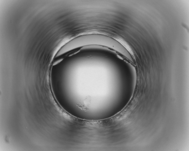 X0000095920813200802011211