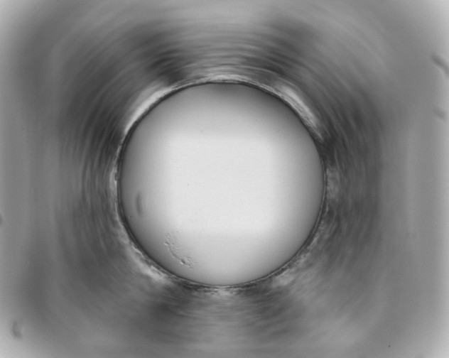 X0000095920814200802011211