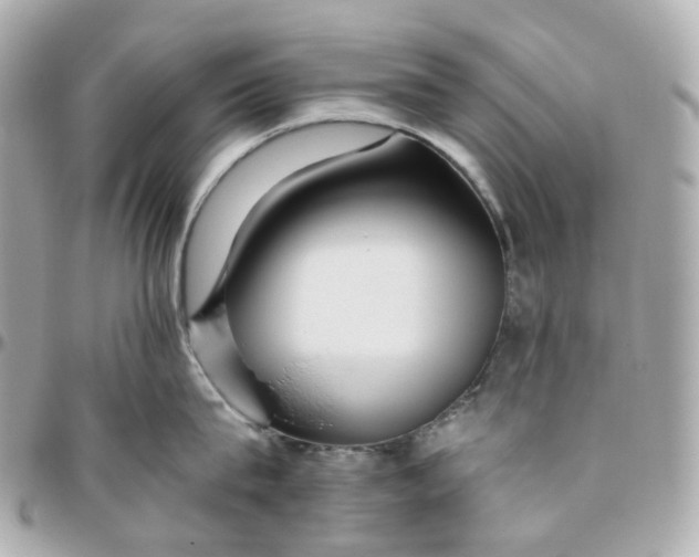 X0000095920815200802011211