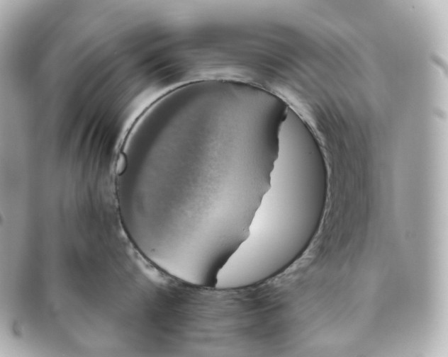 X0000095920816200802011211