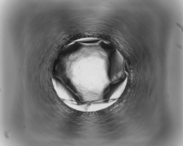 X0000095920817200802011211