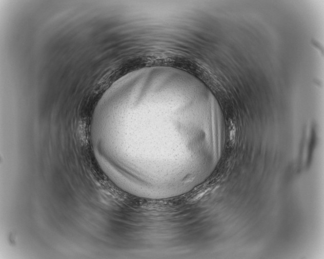 X0000095920819200802011211