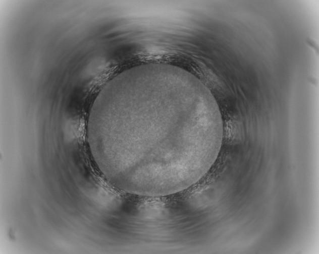 X0000095920820200802011211