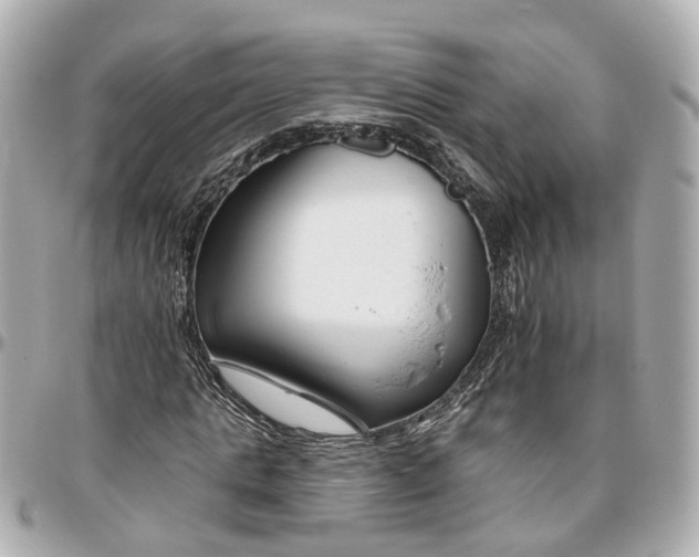 X0000095920821200802011211