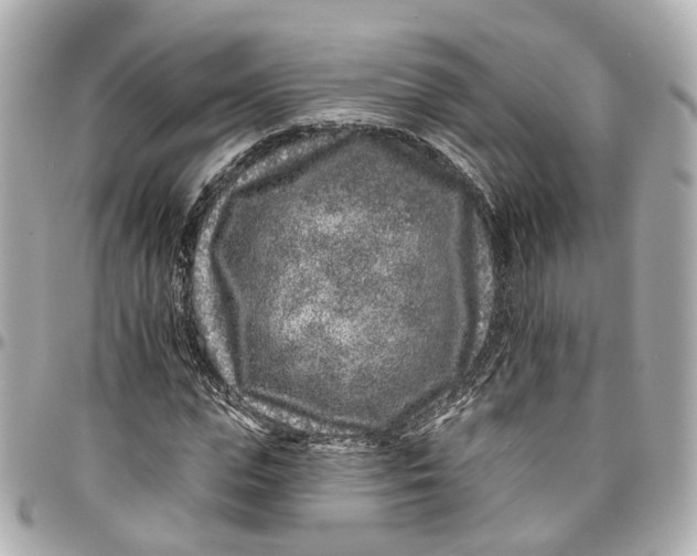 X0000095920823200802011211