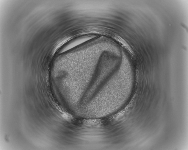 X0000095920826200802011211