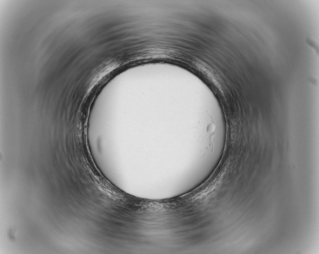 X0000095920827200802011211