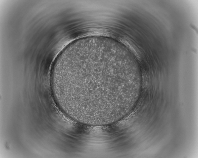 X0000095920828200802011211