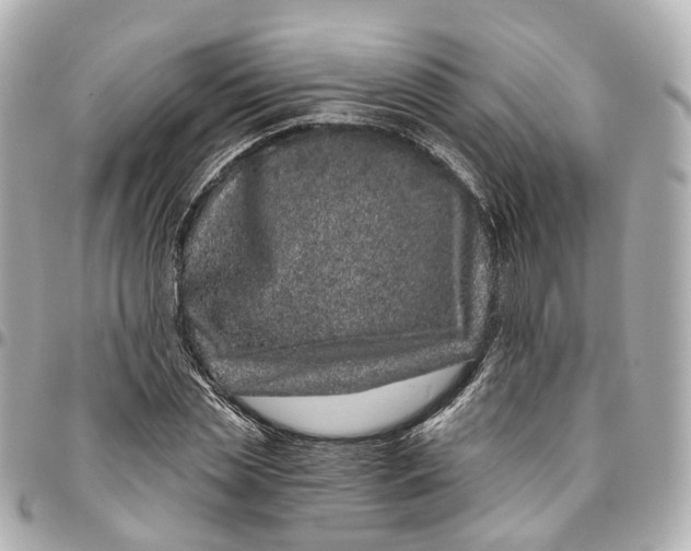 X0000095920829200802011211