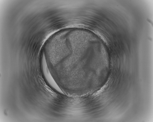 X0000095920830200802011211