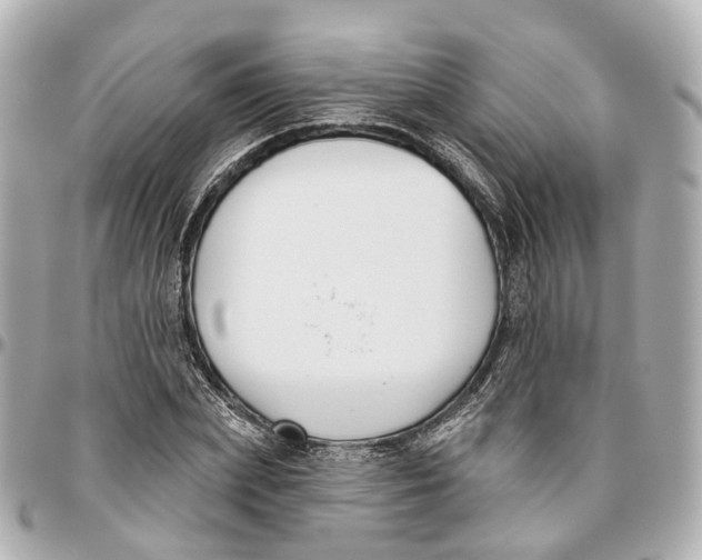 X0000095920831200802011211