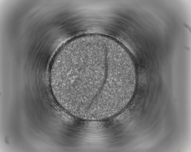 X0000095920832200802011211