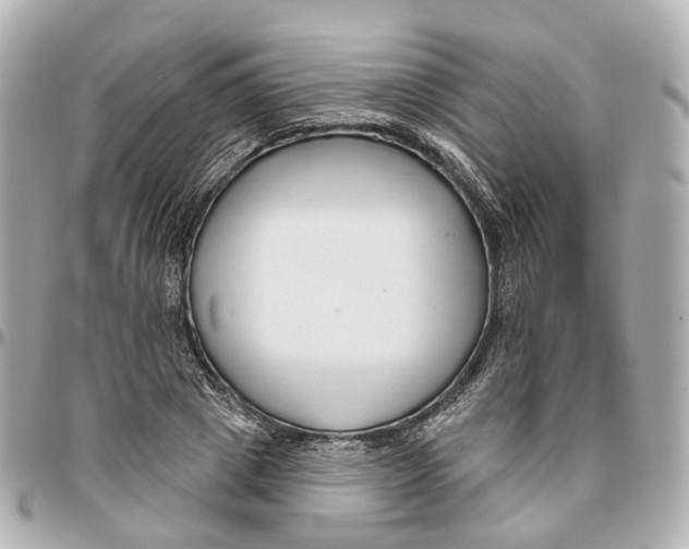 X0000095920833200802011211