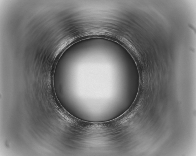 X0000095920834200802011211