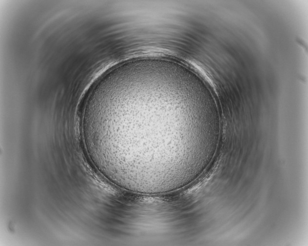 X0000095920835200802011211