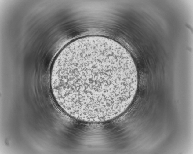 X0000095920836200802011211