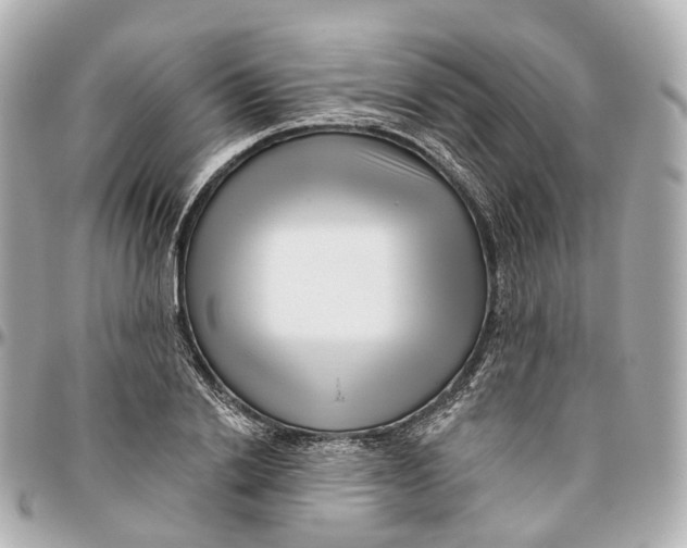 X0000095920838200802011211