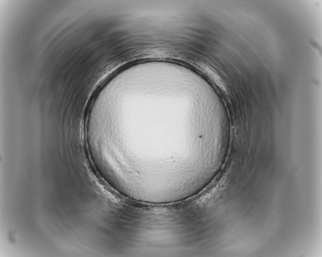 X0000095920839200802011211