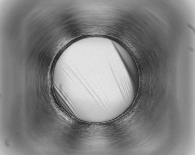 X0000095920840200802011211