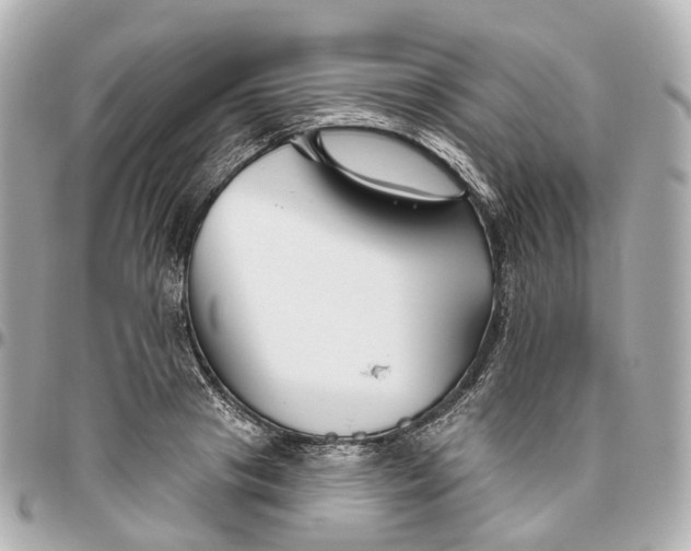 X0000095920841200802011211