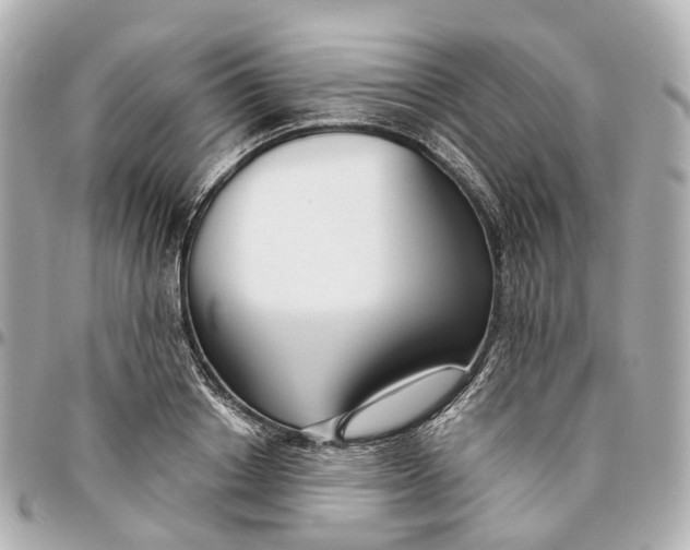 X0000095920842200802011211