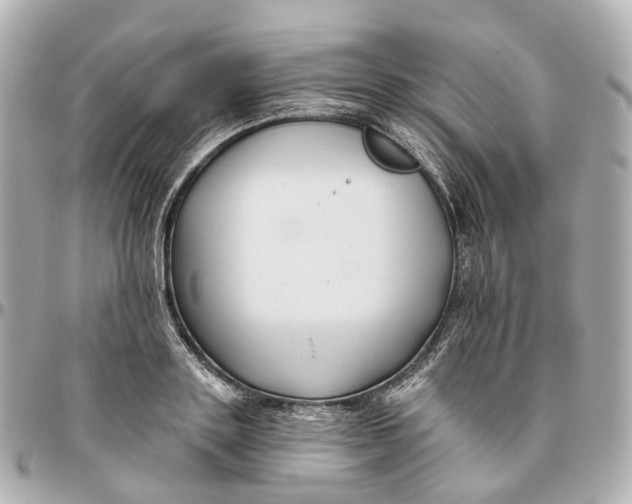 X0000095920843200802011211