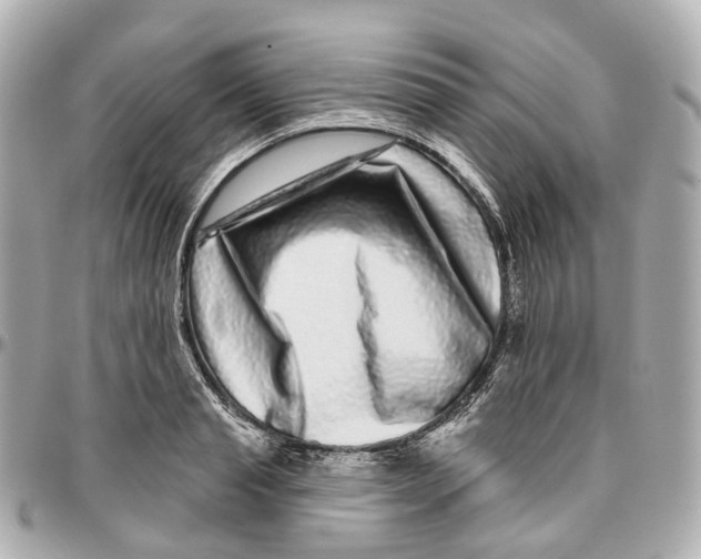 X0000095920845200802011211