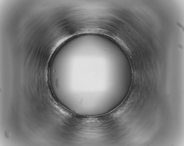 X0000095920846200802011211