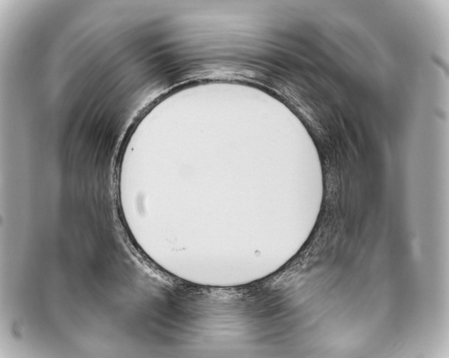 X0000095920848200802011211