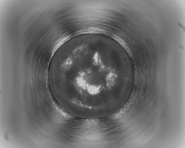 X0000095920850200802011211