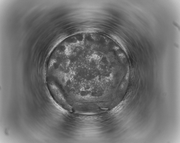 X0000095920851200802011211