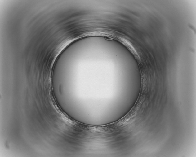 X0000095920852200802011211