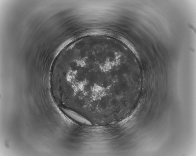 X0000095920853200802011211