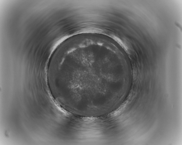 X0000095920854200802011211