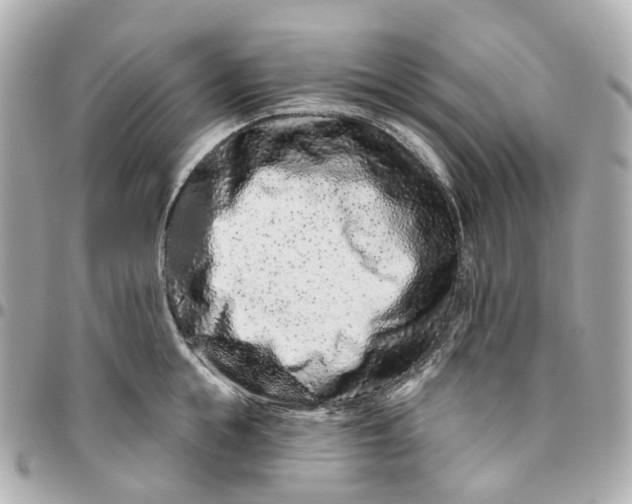 X0000095920855200802011211